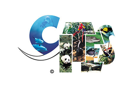 CITES Πιστοποιητικά σύμβασης 2021