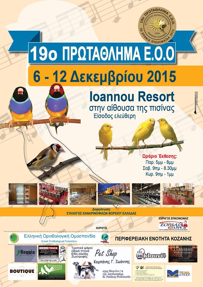 19ος Πανελλήνιος διαγωνισμός ΕΟΟ 2015